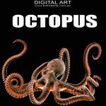 OctopusWEB
