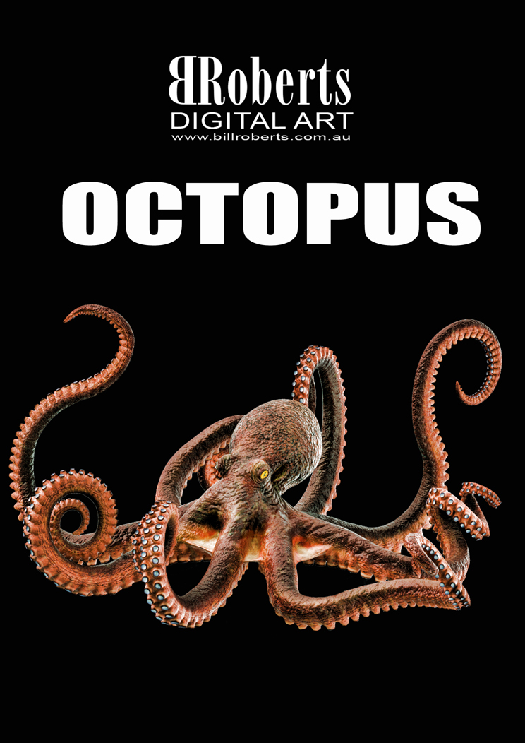 OctopusWEB