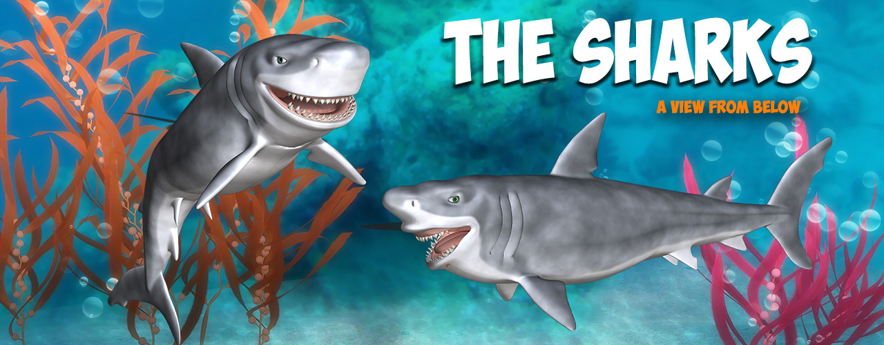 The Sharks The Sharks